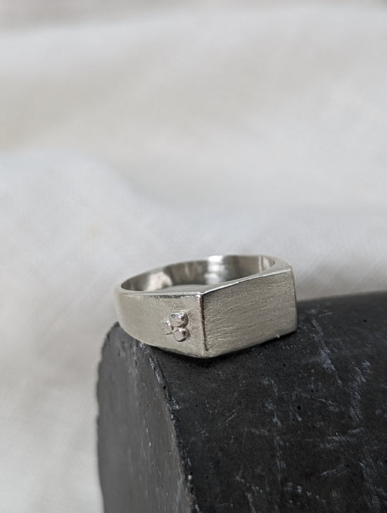 Load image into Gallery viewer, Mens Rectangular Signet Ring - MILLY MAUNDER
