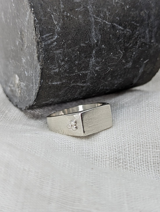 Load image into Gallery viewer, Mens Rectangular Signet Ring - MILLY MAUNDER
